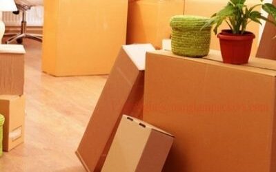 Packers and Movers Mathur