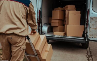 Top Packers and Movers in Hosur